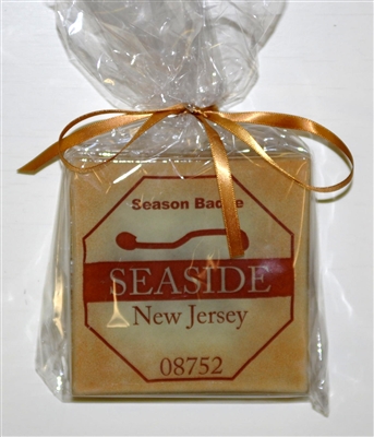 Any Town Beach Badge Sand Coasters