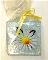 Daisy Coasters