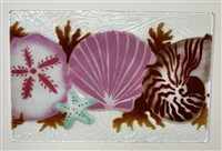 Small Sea Shell Tray (Insert Only)