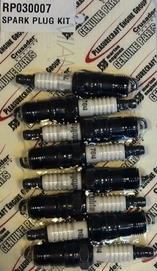 SPARK PLUG KIT, 351 HO - RP030007