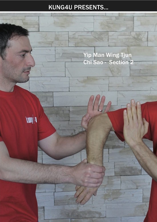 Sifu Taner & Sifu Graziano - Chi Sao Section 2 DVD