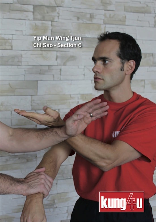 Sifu Taner & Sifu Graziano - Chi Sao Section 6 DVD