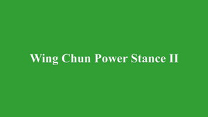 DOWNLOAD: Greg Yau - Wing Chun Power Stance Course - Lesson 2