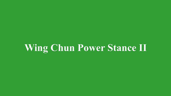 DOWNLOAD: Greg Yau - Wing Chun Power Stance Course - Lesson 2