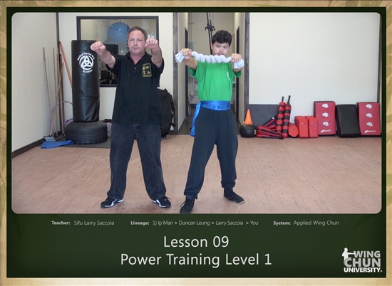 DOWNLOAD: Larry Saccoia - Applied Wing Chun - Lesson 009 - Power Training Level 1