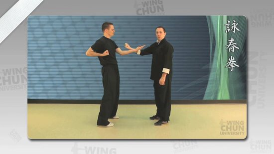 DOWNLOAD: Wayne Belonoha - Ving Tsun System - Lesson 17a - Single Hand Running & Catching