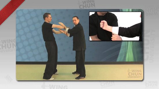 DOWNLOAD: Wayne Belonoha - Ving Tsun System - Lesson 20c - Double Hand Chi Sau, Additional Attacks