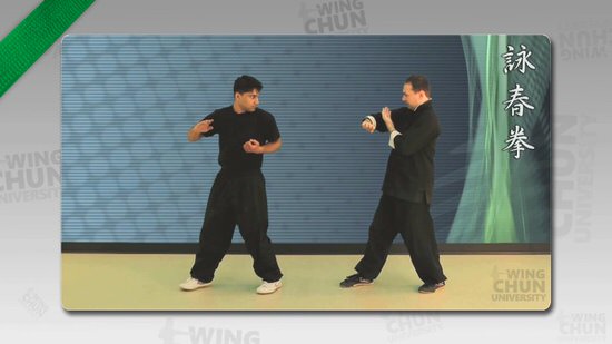 DOWNLOAD: Wayne Belonoha - Ving Tsun System - Lesson 22a - Cham Kiu Form, Part 1