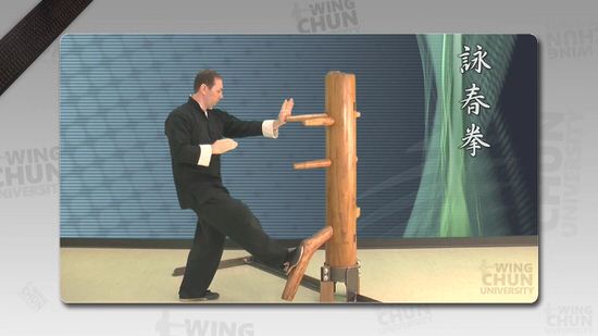 DOWNLOAD: Wayne Belonoha - Ving Tsun System - Lesson 40a - Wooden Dummy, Part 7 & 8