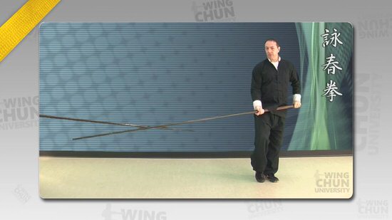 DOWNLOAD: Wayne Belonoha - Ving Tsun System - Lesson 44a - Long Pole Form, Parts 5 to 6.5