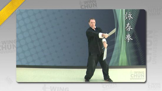 DOWNLOAD: Wayne Belonoha - Ving Tsun System - Lesson 46a - Sword Form, Parts 2 & 3