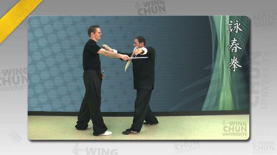 DOWNLOAD: Wayne Belonoha - Ving Tsun System - Lesson 49a - Sword Form, Part 8