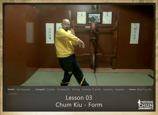 DOWNLOAD: Sifu Fernandez - WingTchunDo - Lesson 03 - Chum Kiu - Form