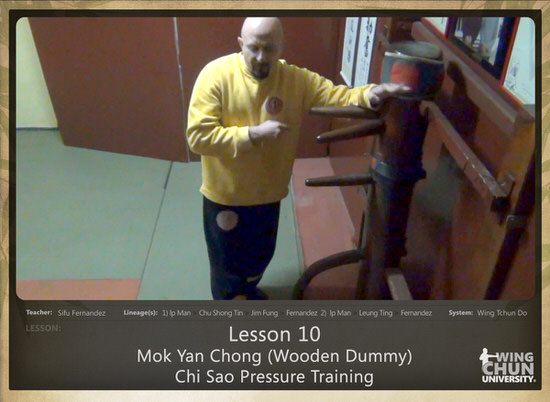 DOWNLOAD: Sifu Fernandez - WingTchunDo - Lesson 10 - Mok Yan Chong (Wooden Dummy) - Chi Sao Pressure Training