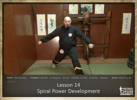 DOWNLOAD: Sifu Fernandez - WingTchunDo - Lesson 14 - Spiral Power Development