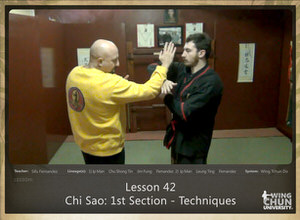 DOWNLOAD: Sifu Fernandez - WingTchunDo - Lesson 42 - Chi Sao - 1st Section - Techniques