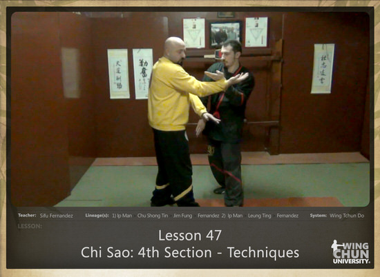 DOWNLOAD: Sifu Fernandez - WingTchunDo - Lesson 47 - Chi Sao - 4th Section - Techniques