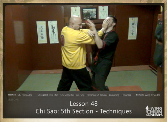 DOWNLOAD: Sifu Fernandez - WingTchunDo - Lesson 48 - Chi Sao - 5th Section - Techniques
