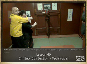 DOWNLOAD: Sifu Fernandez - WingTchunDo - Lesson 49 - Chi Sao - 6th Section - Techniques