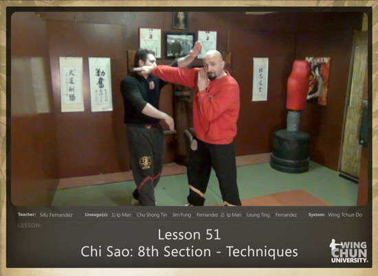 DOWNLOAD: Sifu Fernandez - WingTchunDo - Lesson 51 - Chi Sao - 8th Section - Techniques