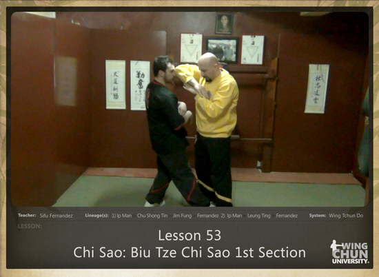 DOWNLOAD: Sifu Fernandez - WingTchunDo - Lesson 53 - Chi Sao - Biu Tze Chi Sao 1st Section