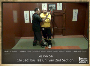 DOWNLOAD: Sifu Fernandez - WingTchunDo - Lesson 54 - Chi Sao - Biu Tze Chi Sao 2nd Section