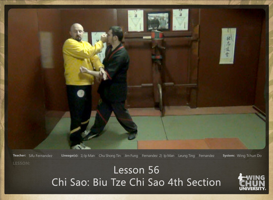 DOWNLOAD: Sifu Fernandez - WingTchunDo - Lesson 56 - Chi Sao - Biu Tze Chi Sao 4th Section