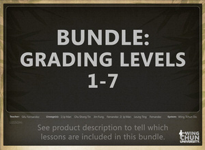 DOWNLOAD: Sifu Fernandez - WingTchunDo - Bundle - Grading Levels 1-7