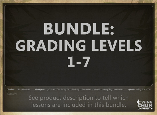 DOWNLOAD: Sifu Fernandez - WingTchunDo - Bundle - Grading Levels 1-7