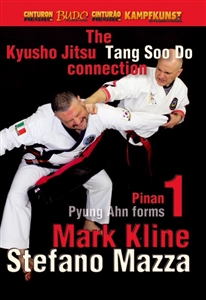 DOWNLOAD: Mark Kline - Kyusho Tang Soo Do Connection Pyung Ahn Pinan Kata 1