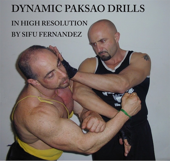 Sifu Fernandez - Wing Tchun Do - Dynamic Pak Sao Drills