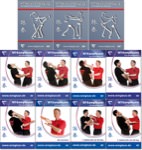 Bundle - Sifu Niko - Wing Tsun 1-11 - Entire Set