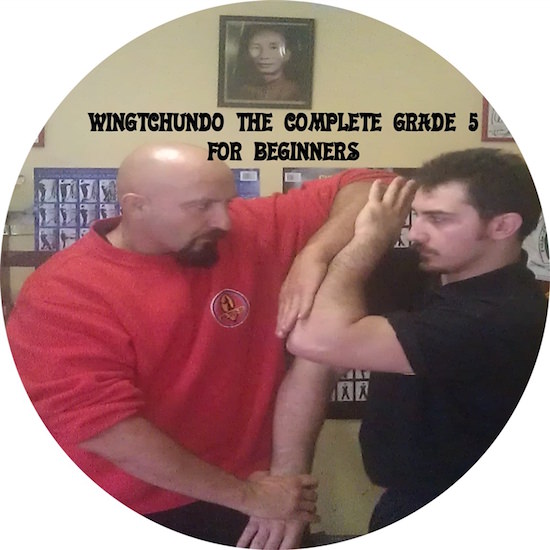 Sifu Fernandez - WingTchunDo The Complete Grade 5 for Beginners