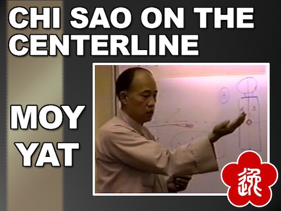 Moy Yat - Chi Sao on the Centerline