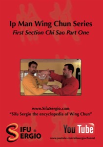 Sifu Sergio Iadarola - Chi Sao Section 1 Part 1 - DVD