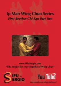 Sifu Sergio Iadarola - Chi Sao Section 1 Part 2 - DVD