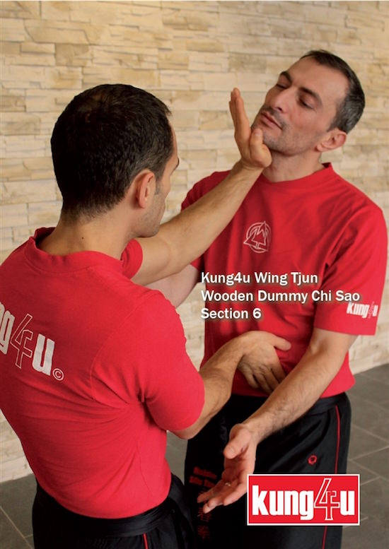 Sifu Taner & Sifu Graziano - Wooden Dummy Chi Sao Section 6