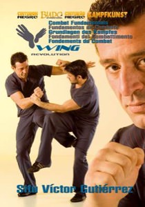 Victor Gutierrez - Wing Revolution DVD 01 - Combat Fundamentals