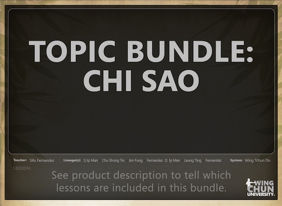 Sifu Fernandez - Wing Chun University Bundle - The WingTchunDo System Chi Sao