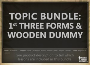 Sifu Fernandez - Wing Chun University Bundle - The WingTchunDo System Empty Hand Forms & Wood Dummy