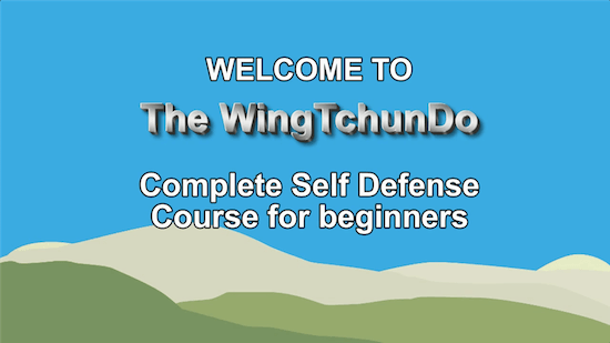 Sifu Fernandez - Wing Tchun Do - Complete Self Defense for Beginners