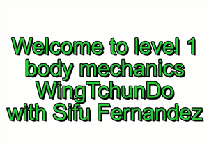 Sifu Fernandez - Wing Tchun Do -  Biomechanics Course Volume 1