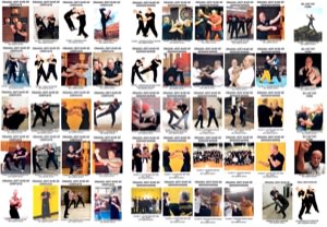 Lamar Davis - BUNDLE - 50 Video Set - Entire Hard Core Jeet Kune Do Collection