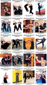 Lamar Davis - BUNDLE - 20 Video Set - Original Jeet Kune Do Collection