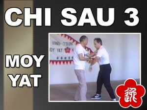 Moy Yat - Chi Sao III