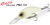 Duo Realis M65 11A Crankbait