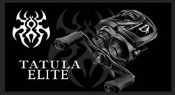 Daiwa Tatula Elite 100 Baitcasting reel