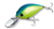 Evergreen CR-8 Crankbait