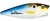 Heddon Pop N Image