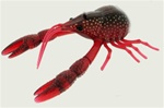 River2sea Dahlberg Clackin' Crayfish 130 Replacement Trailer